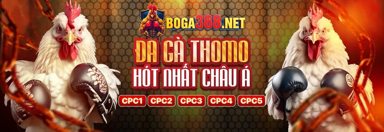 Đá Gà Trực Tuyến Kịch Tính Tại 286bet Link Mới