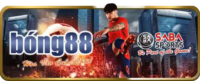 Cá cược Thể Thao 286bet